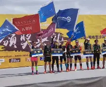 跆拳道邀请赛掀起高潮，漠南白虎队绝杀陇右天狼队，老将里程碑之夜——黑马成最大惊喜的简单介绍